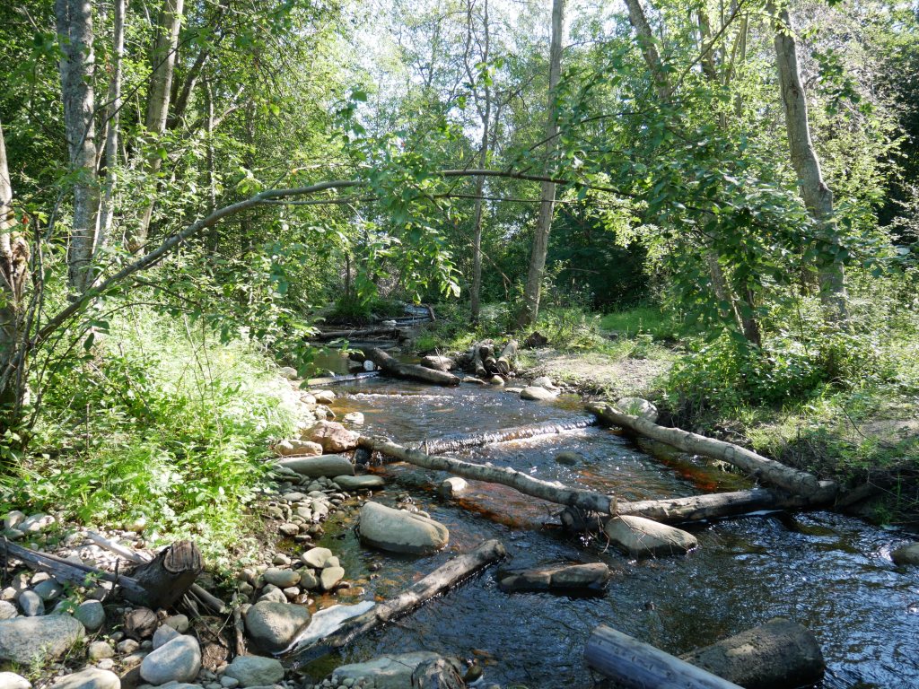 Kuvassa Villamon kunnostettu puro. 